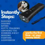 PetPeace The Ultimate Solution for Instant Dog Training