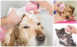 Petweld Pet Bath Shampoo Brush