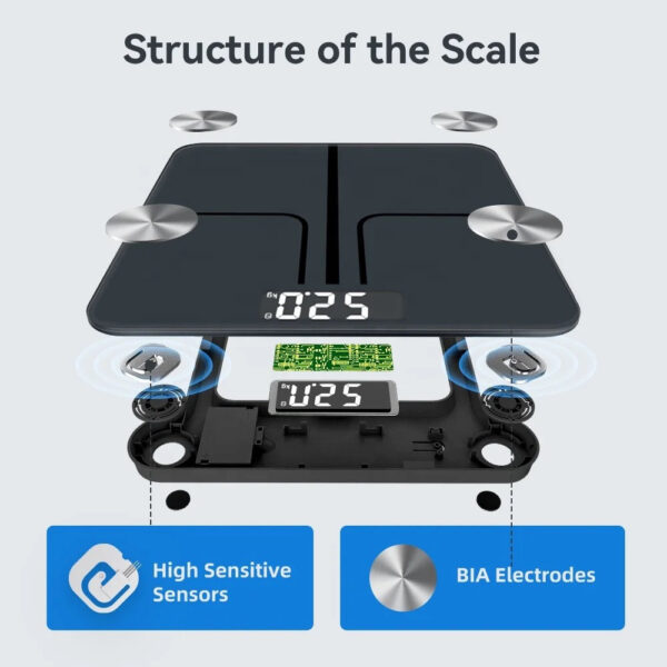 PostureFlex Smart Body Weight Scale