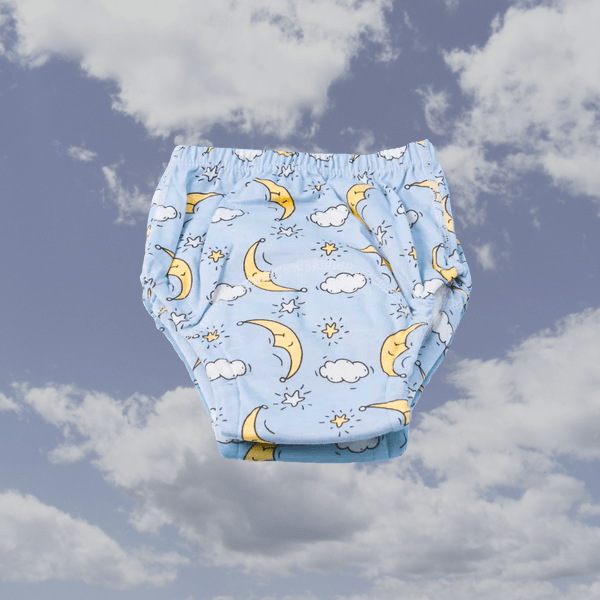 Potty Training Underwear