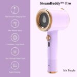 SteamBuddy