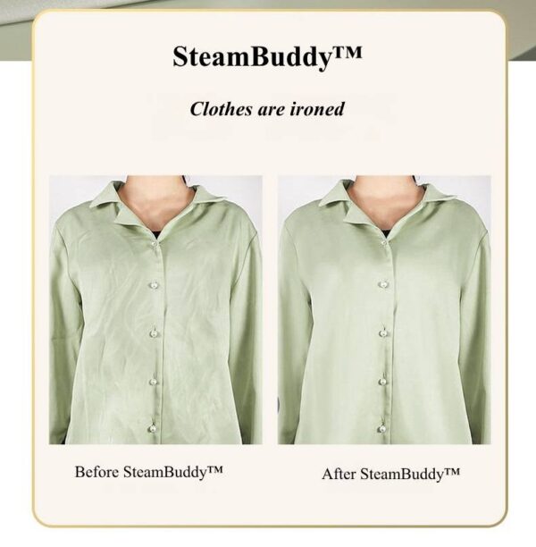 SteamBuddy