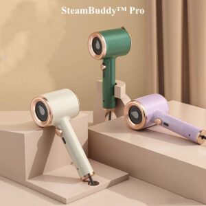 SteamBuddy