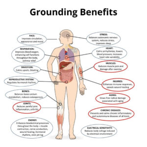 TerraTune Grounding Mat