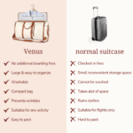 Venus Travel Bag