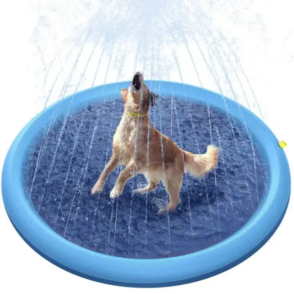 Water Sprinkler Playing Mat