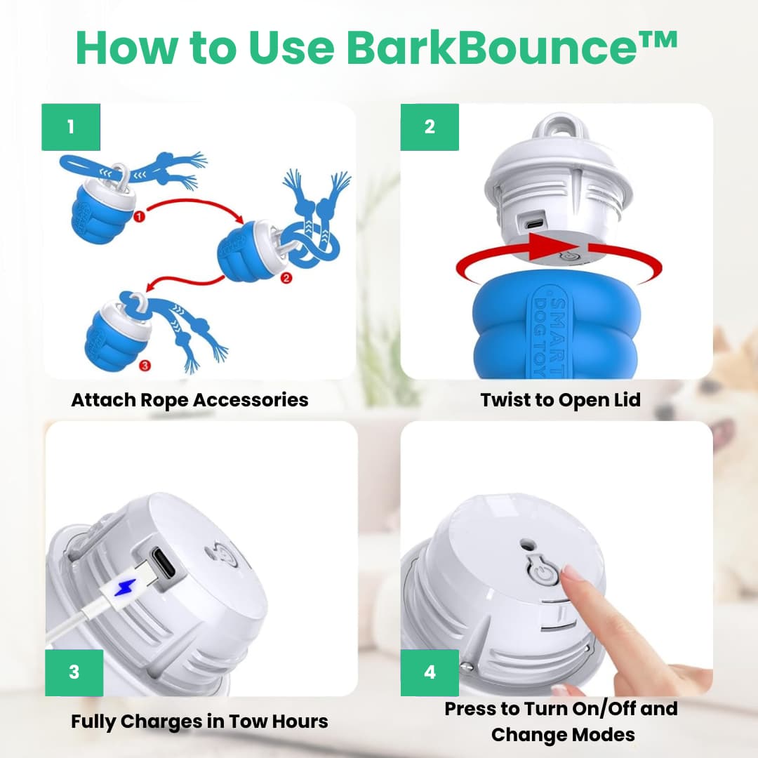 BarkBounce Interactive Motion Ball