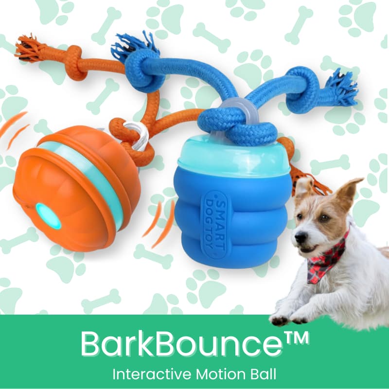 BarkBounce Interactive Motion Ball