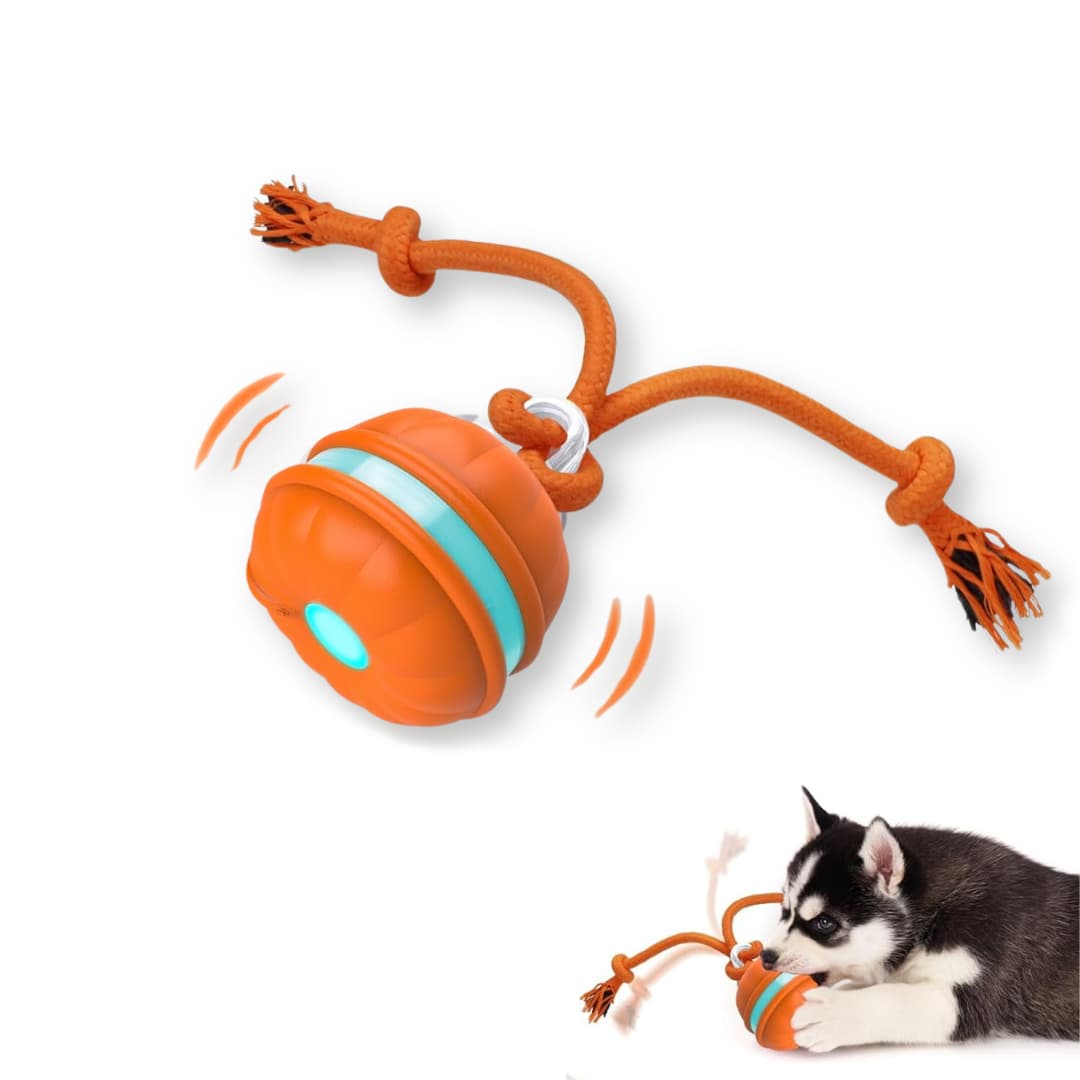 BarkBounce Interactive Motion Ball