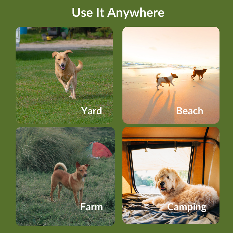 DoggiGuard Wireless Fence