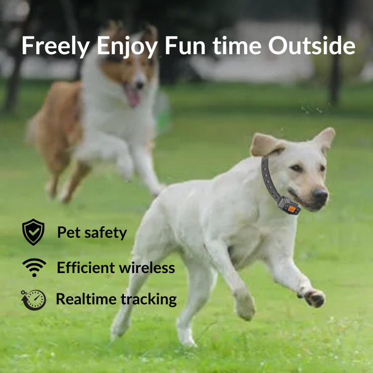 DoggiGuard Wireless Fence