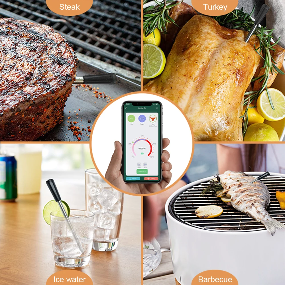 Grill Sync Thermometer