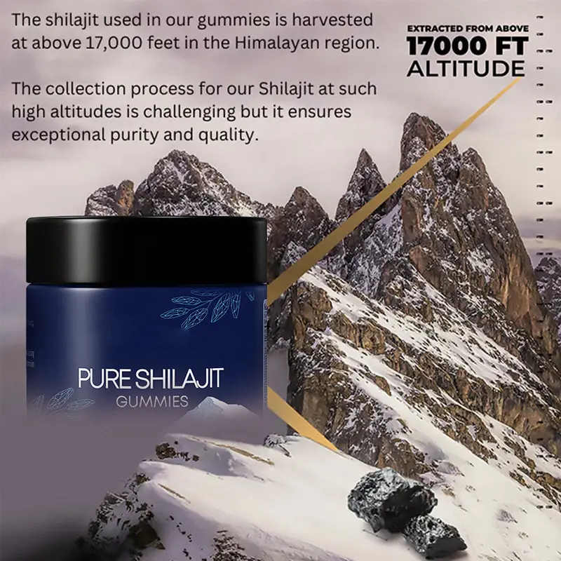 ORIGINAL SHILAJIT GUMMIES