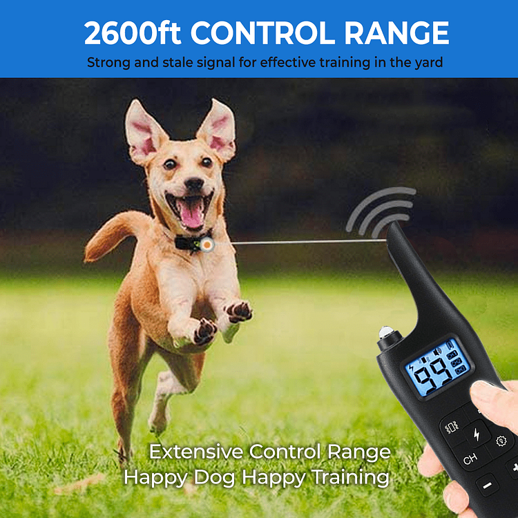 Pet Smart Dog Training Collar with Remote