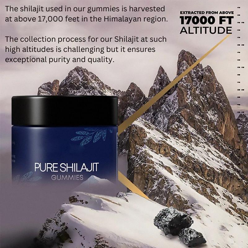 SENIOR CITIZEN DAY SALE  –  Shilajit Gummies