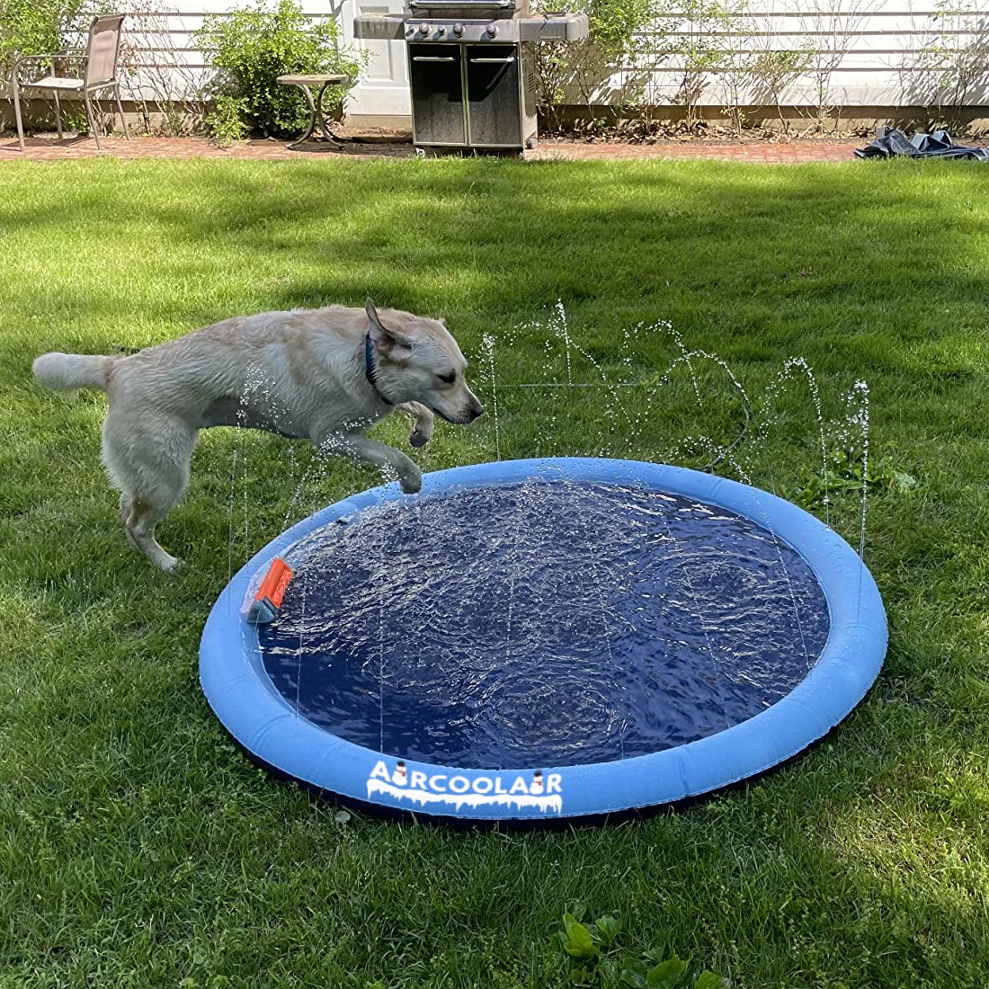 Splash Pad