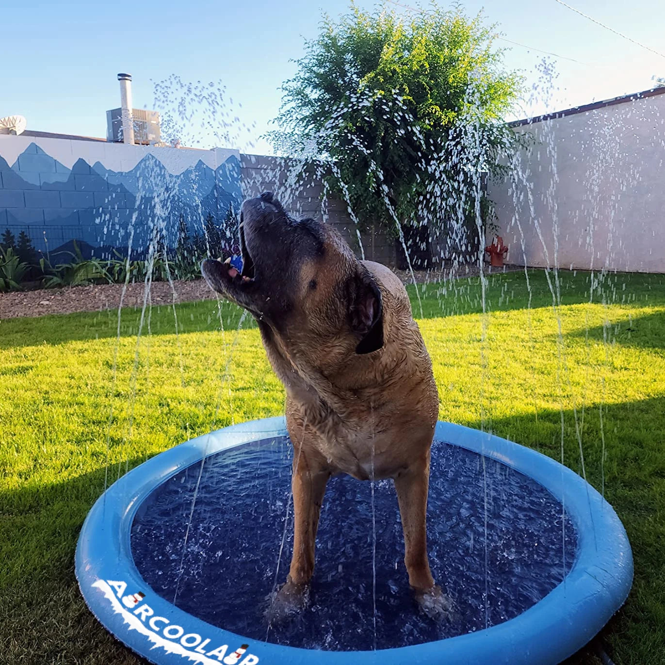 Splash Pad