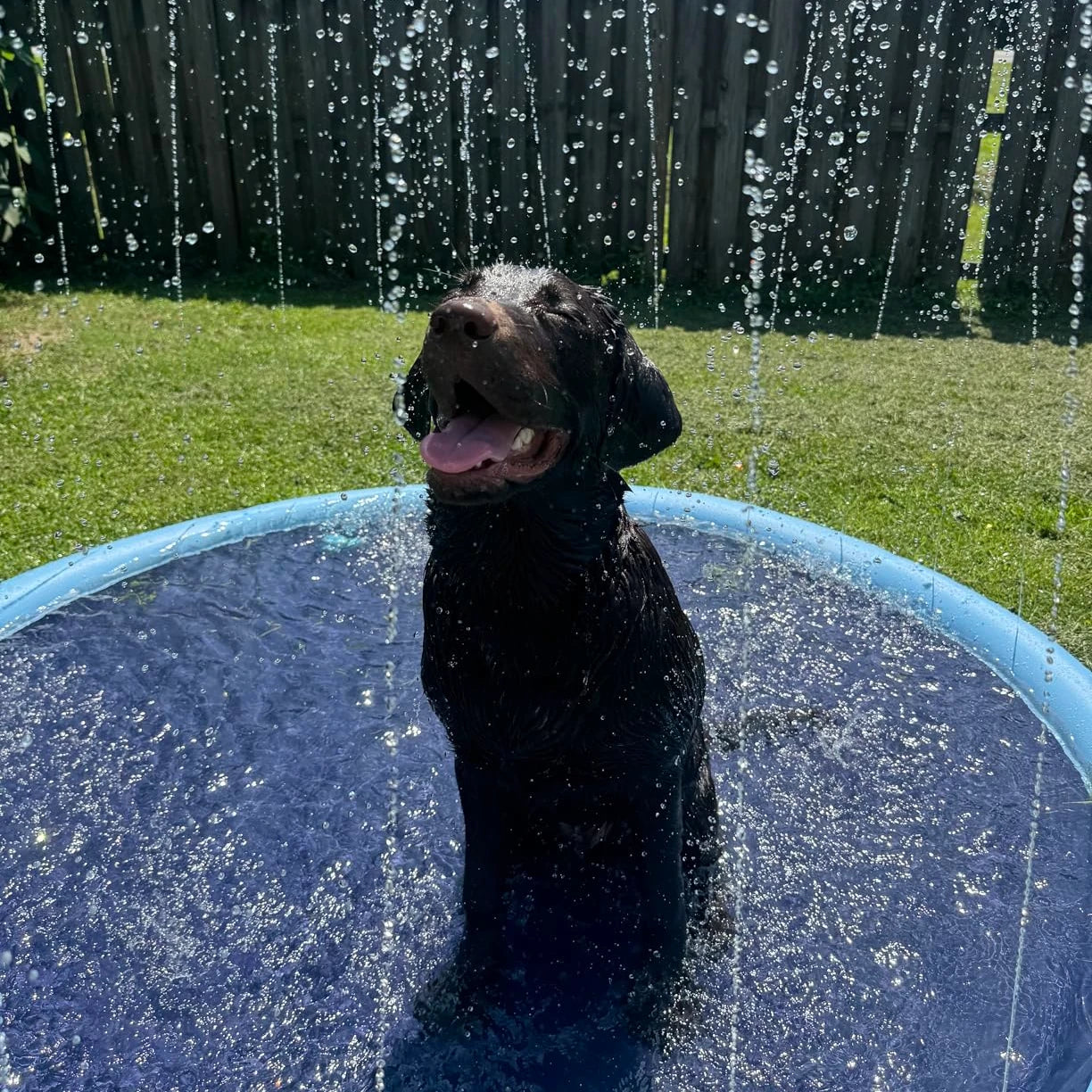 Splash Pad