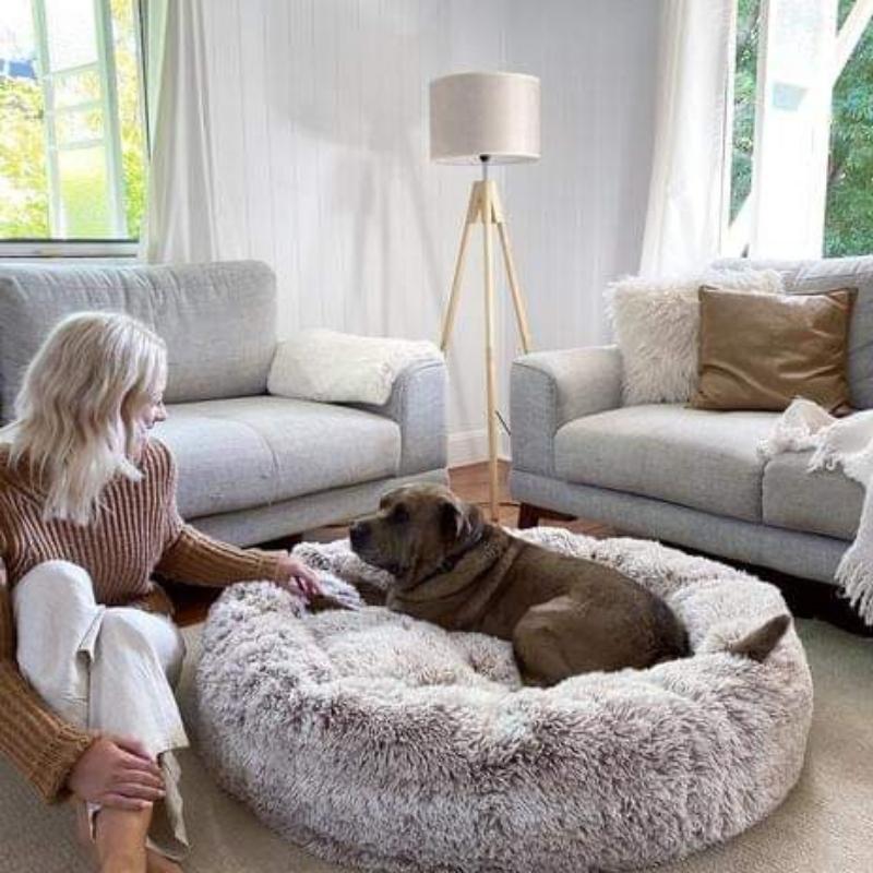 World's #1 Anxiety Relieving Dog Bed