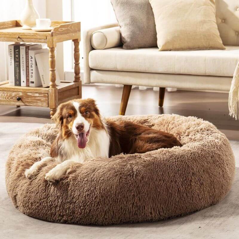 World's #1 Anxiety Relieving Dog Bed