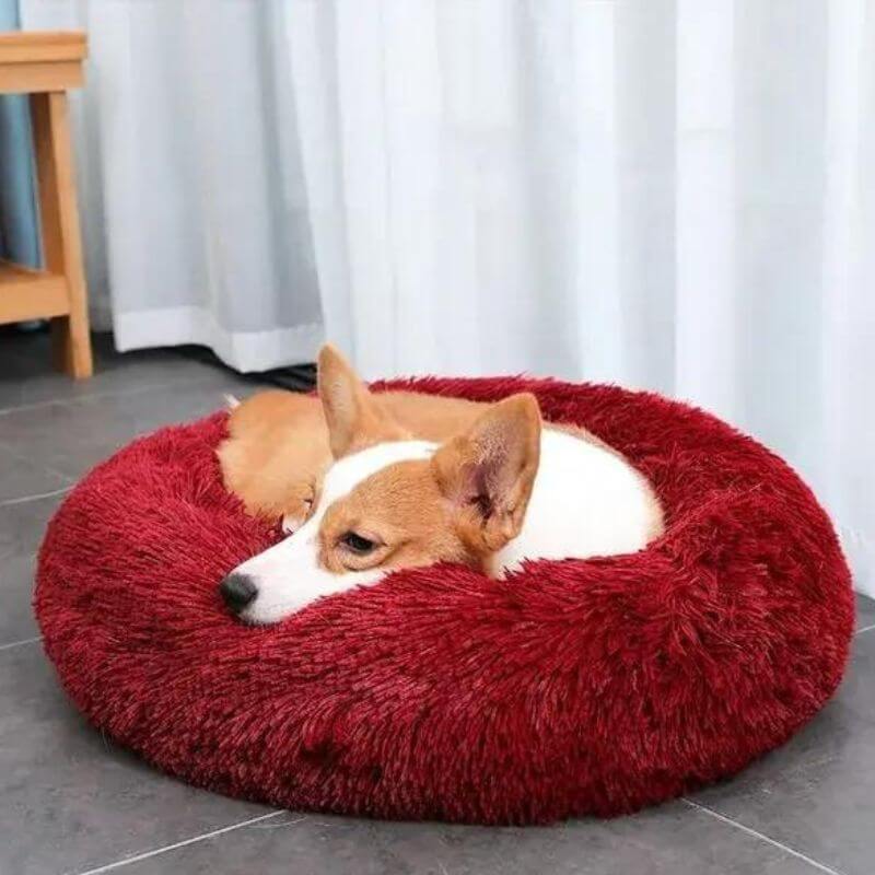 World's #1 Anxiety Relieving Dog Bed