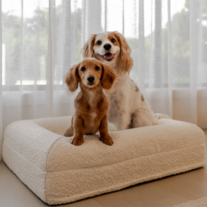 Boucle Luxury Pet Bed - Ivory