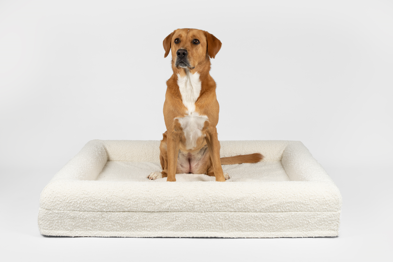 Boucle Luxury Pet Bed - Ivory