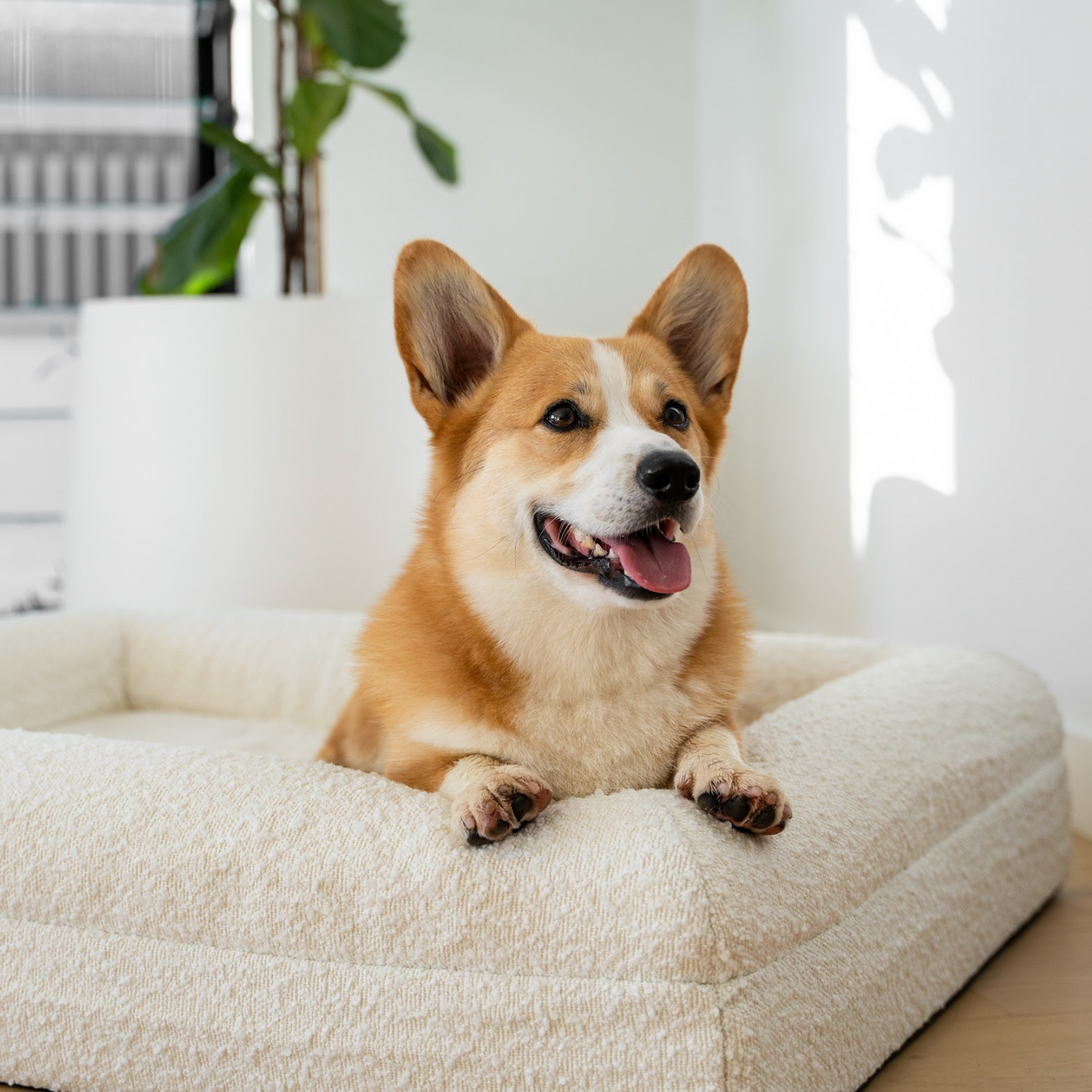 Boucle Luxury Pet Bed - Ivory