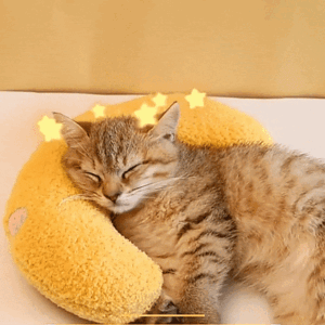 Comfort Pet Pillow