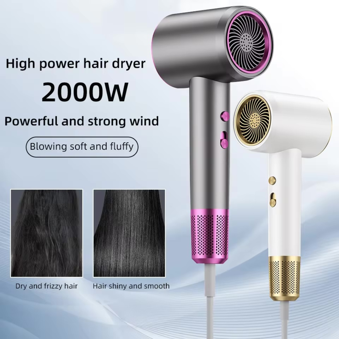 JetSpeed Hair Dryer