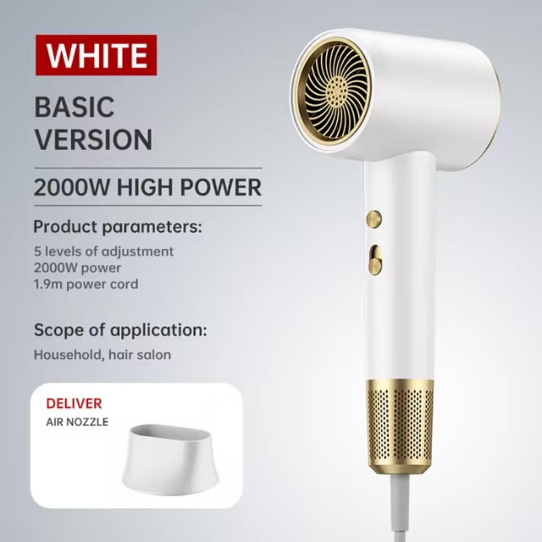 JetSpeed Hair Dryer