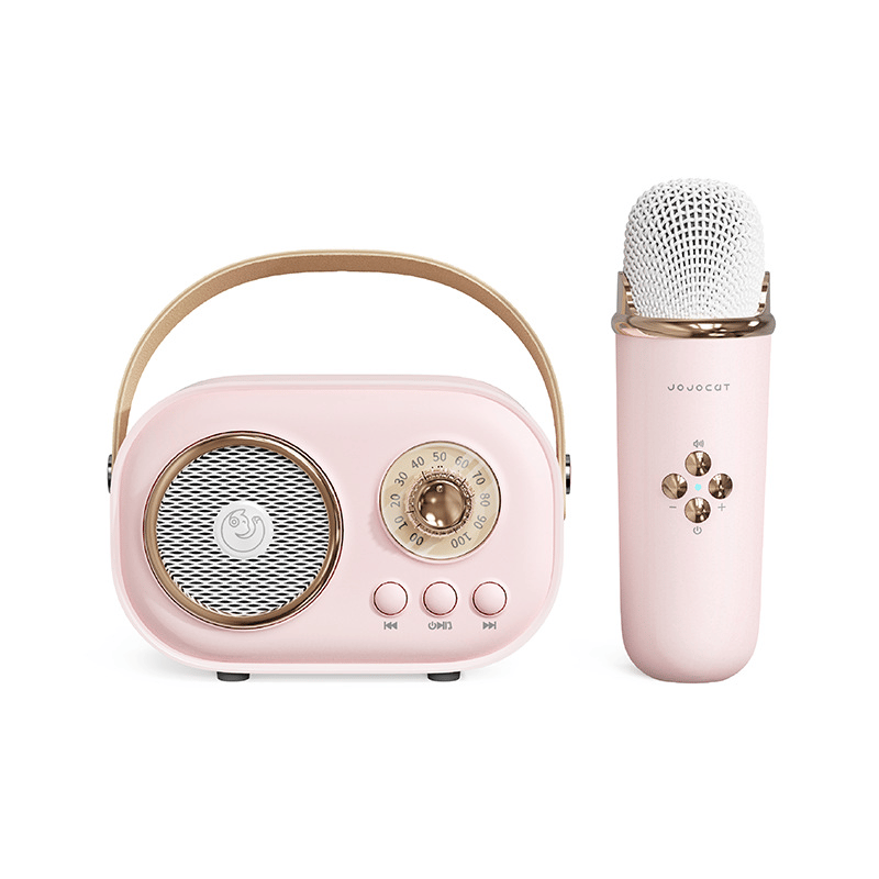 Mini Karaoke Machine Portable Bluetooth Speaker