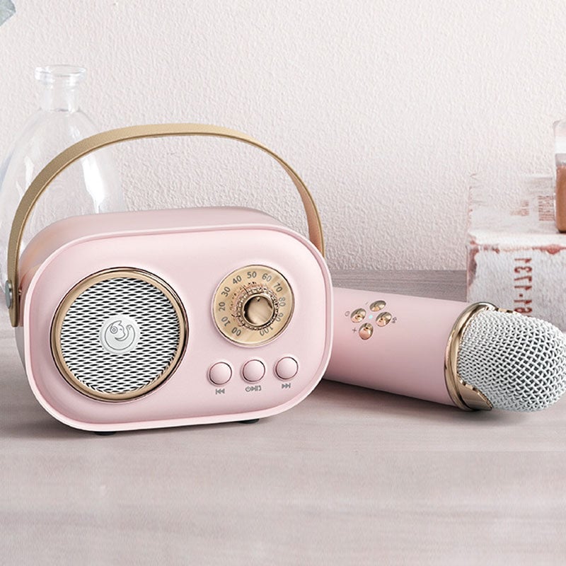 Mini Karaoke Machine Portable Bluetooth Speaker