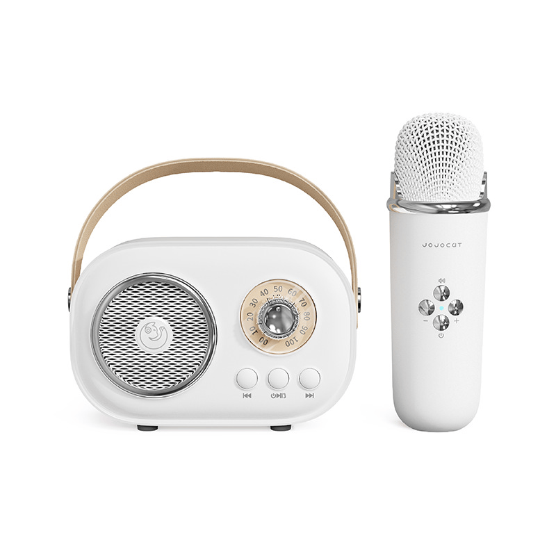 Mini Karaoke Machine Portable Bluetooth Speaker