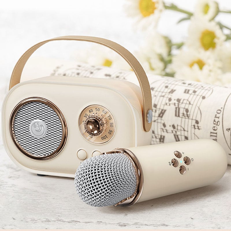 Mini Karaoke Machine Portable Bluetooth Speaker