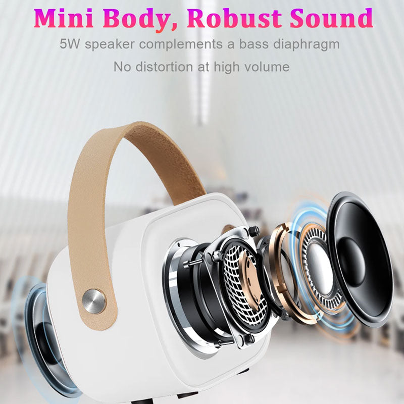 Mini Karaoke Machine Portable Bluetooth Speaker