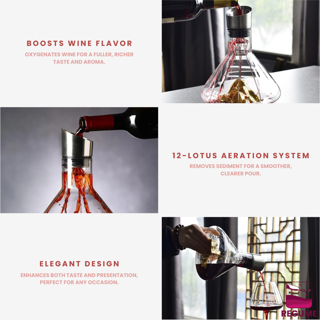 Regume Pro |Classic Crystal Wine Decanter