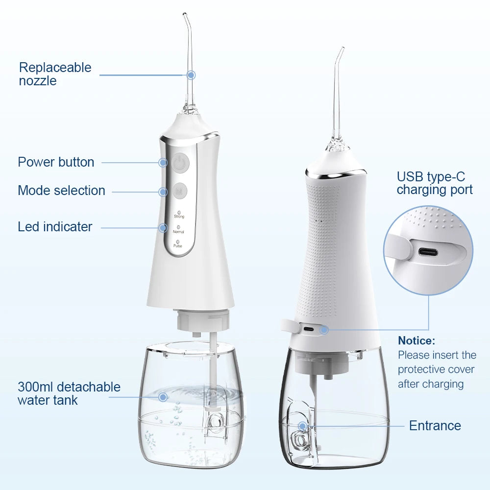 The Elleganzia Intelli-Flosser