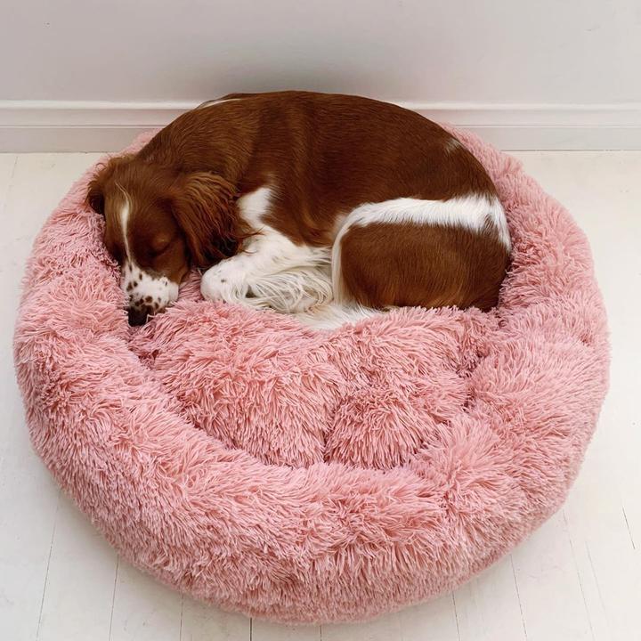 Anti Anxiety Calming Dog Bed