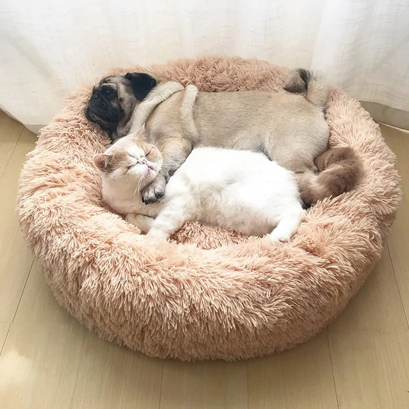 Anti-Anxiety Dog Bed: Calming Plush Bed for Dogs and Cats