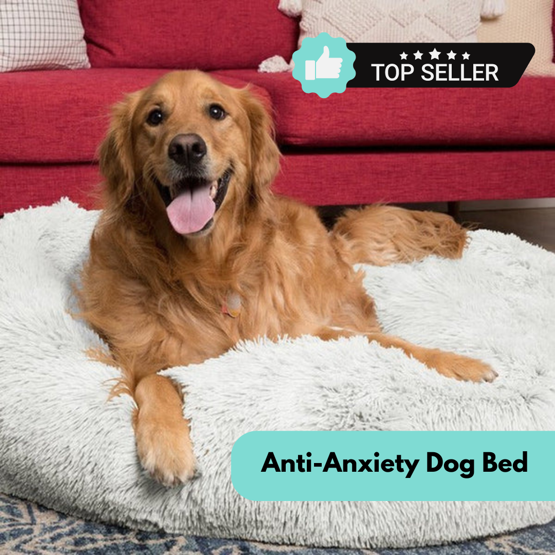 Anti-Anxiety Dog Bed: Calming Plush Bed for Dogs and Cats