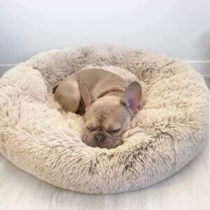 Anti-Anxiety Dog Bed: Calming Plush Bed for Dogs and Cats