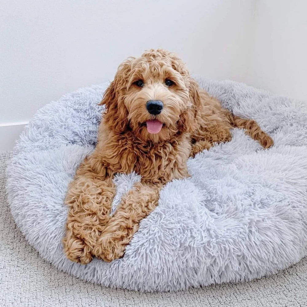 Anti-Anxiety Dog Bed: Calming Plush Bed for Dogs and Cats