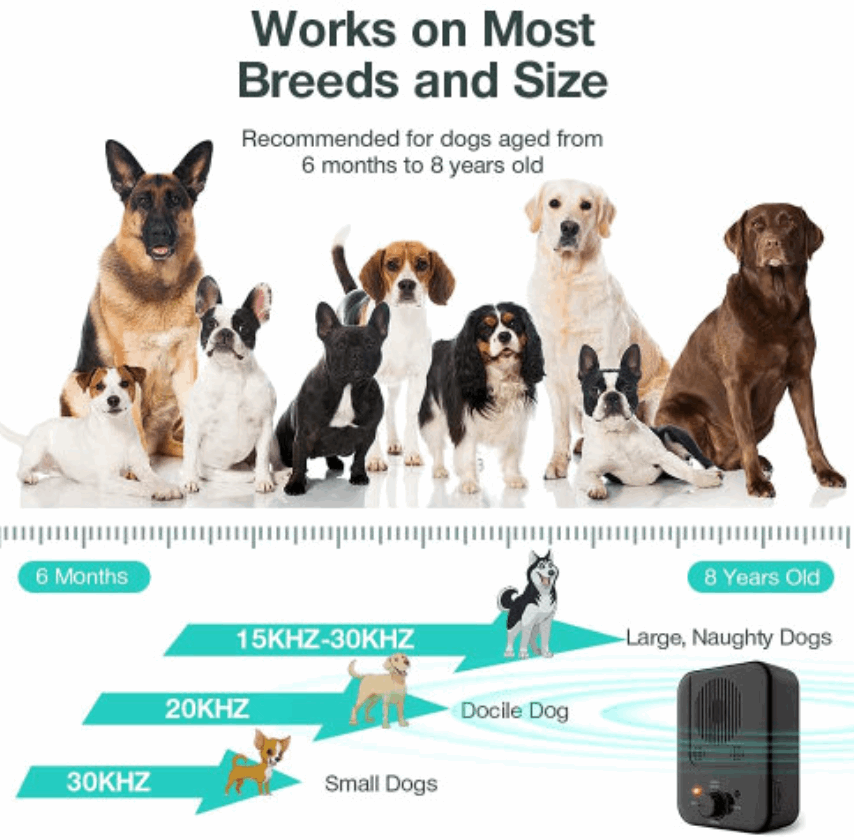 Anti-bark device that trains your dog