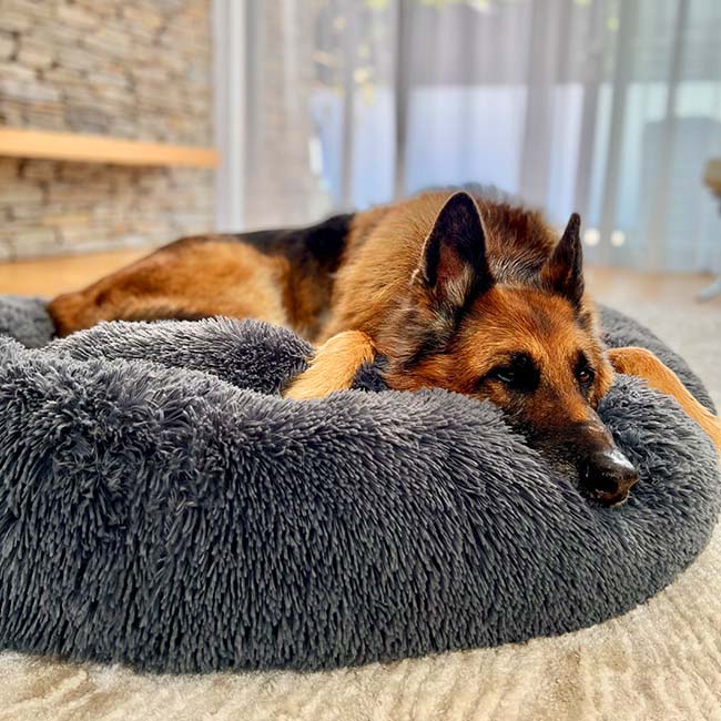 Calming Dog Bed – Reduces Anxiety – Increases Sleep