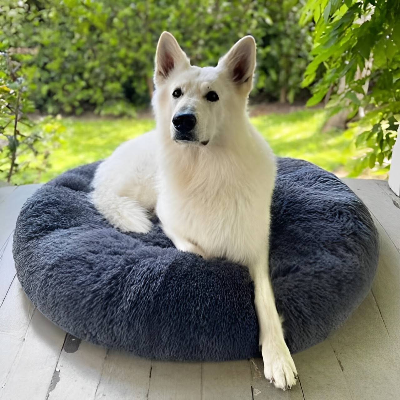 Calming Dog Bed - Reduces Anxiety - Increases Sleep