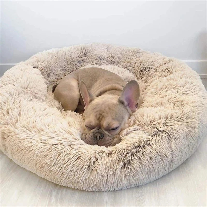 Calming Dog Bed - Reduces Anxiety - Increases Sleep