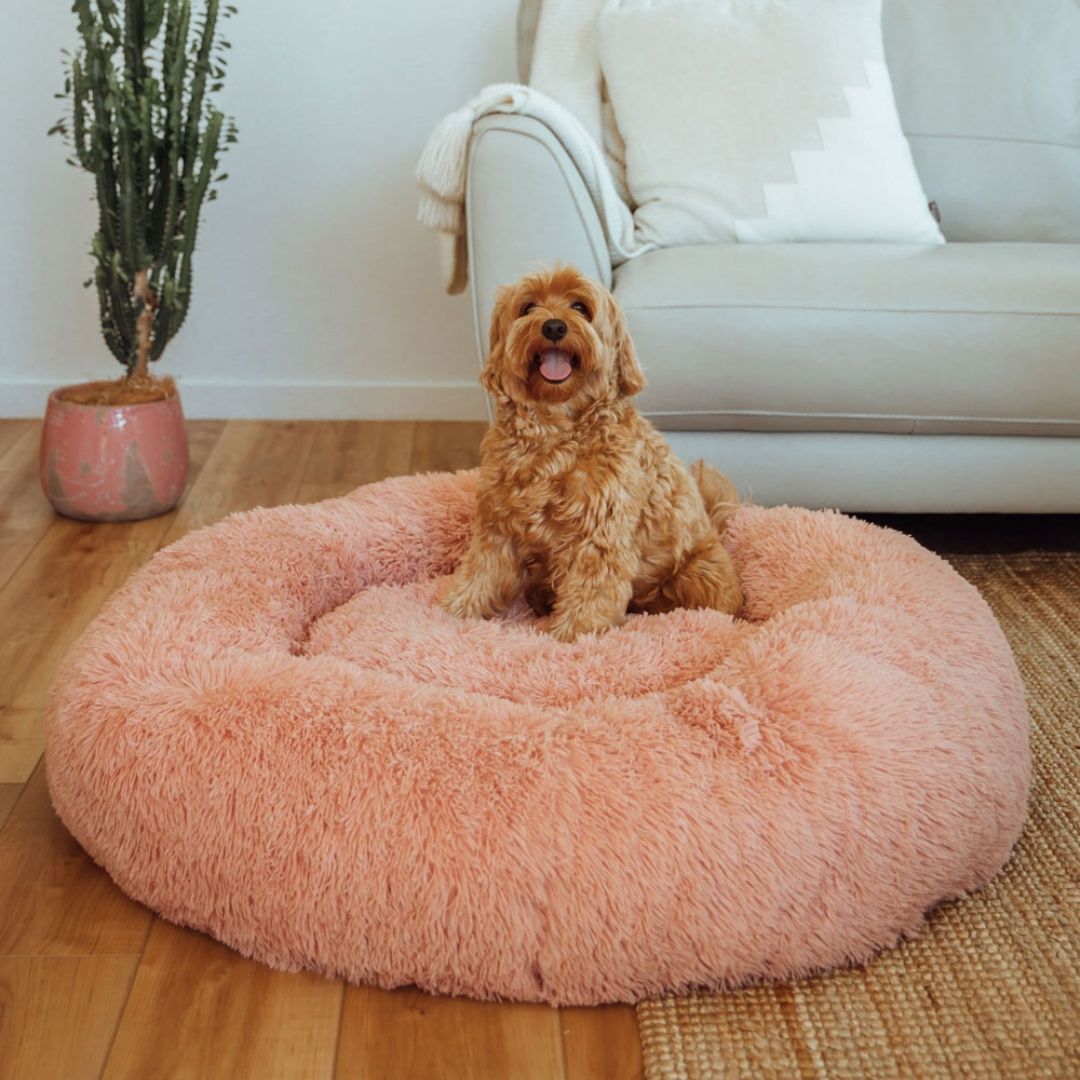 Calming Dog Bed