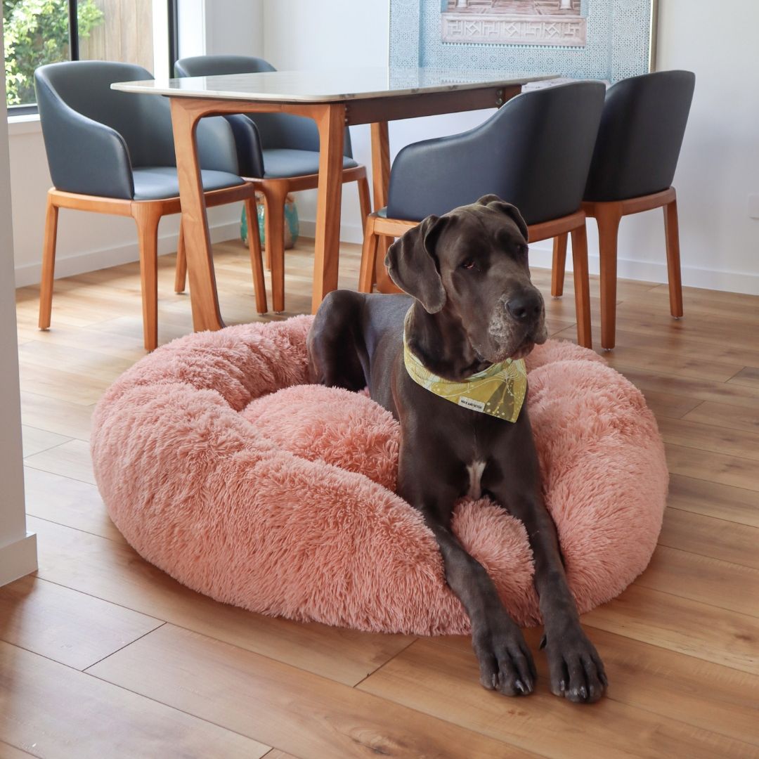 Calming Dog Bed