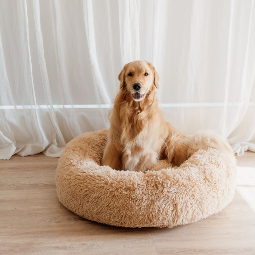 Calming Dog Bed